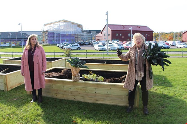 Hr odlas samarbete och grnsaker