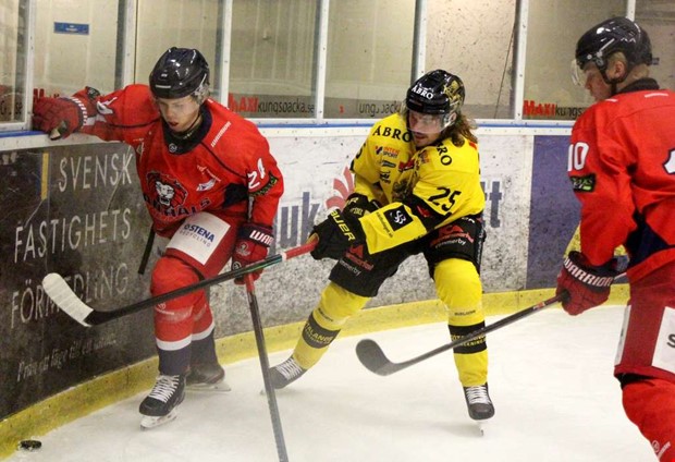 Pongrddare i comebacken 