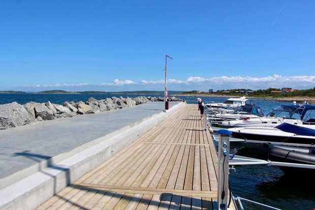 Fladdermss gr fre fyr vid Grda brygga