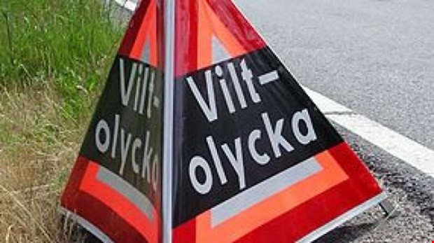 Dubbla viltolyckor i Vallda