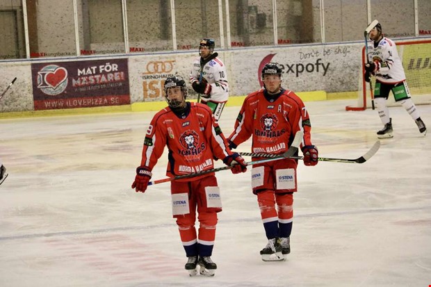 Hanhals Kings fll terigen