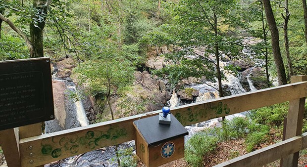 St�mpeljakt ska locka till naturupplevelser