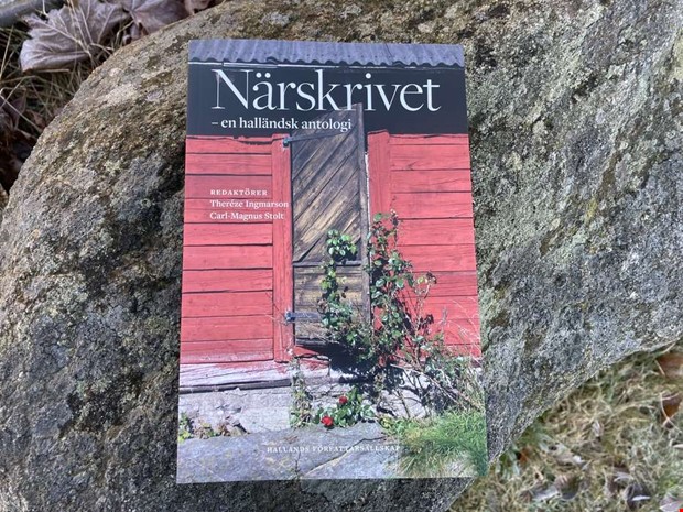 Smrgsbord av hallndska texter