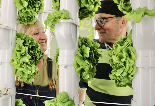 Berest skotte blev salladspionjr i lskade Frilless