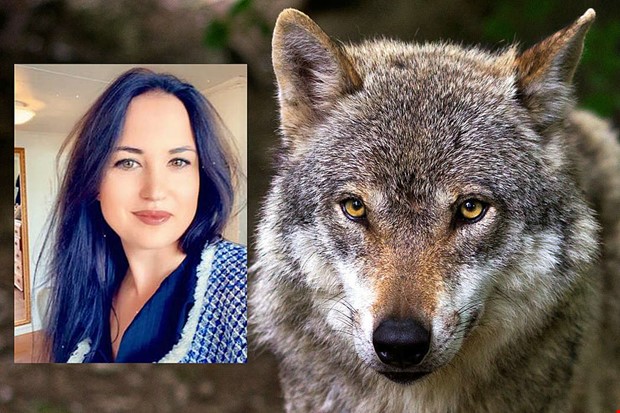 Maria filmade vargen utanfr sitt fnster