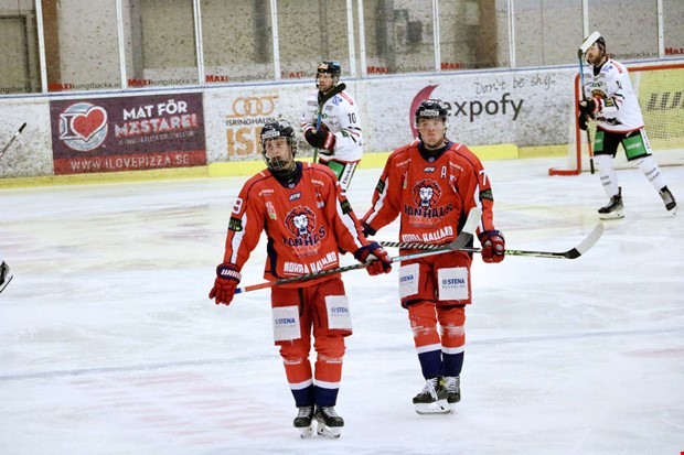 Mardrmsstart snkte Hanhals