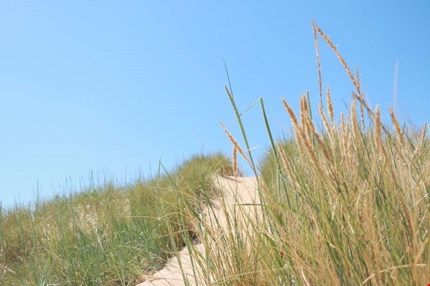 Sommarbiljett i Halland även i år