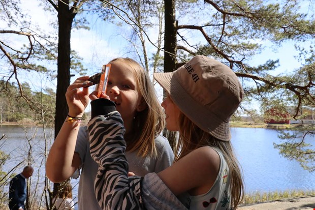 Elever knackar sten p skoltid