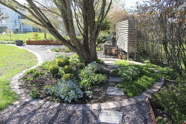 Premi�r f�r Pernilla p� Urban Garden Day