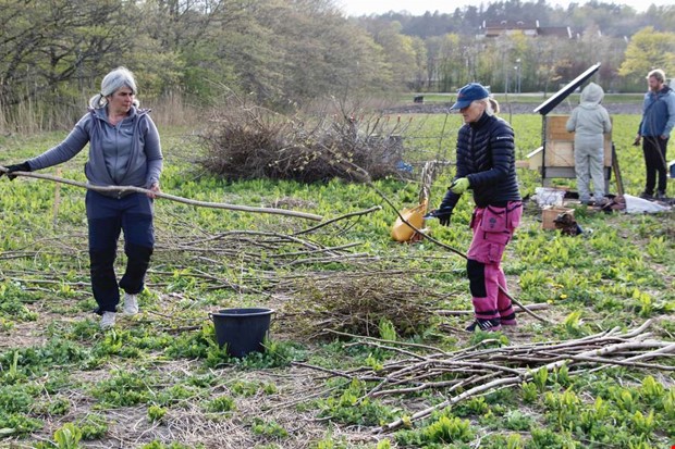Odla tillsammans - nu tar projektet form