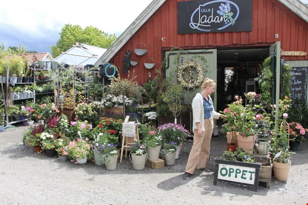 Jag fick en chans och tog den 