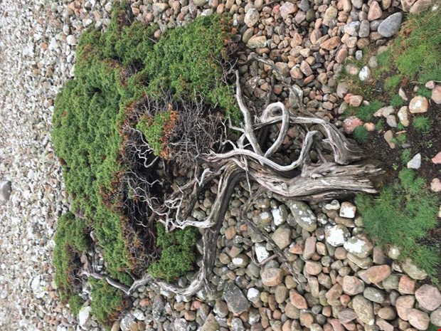 Knasiga trd i Halland efterlyses