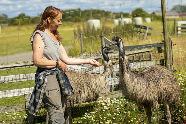 Succstart fr Allekulla Grd