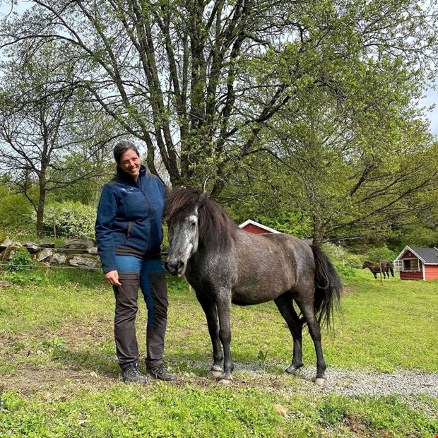 Hstterapi fr barn och unga