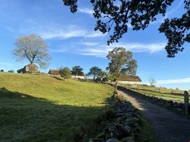 skhults by vxer rejlt - kper ny mark