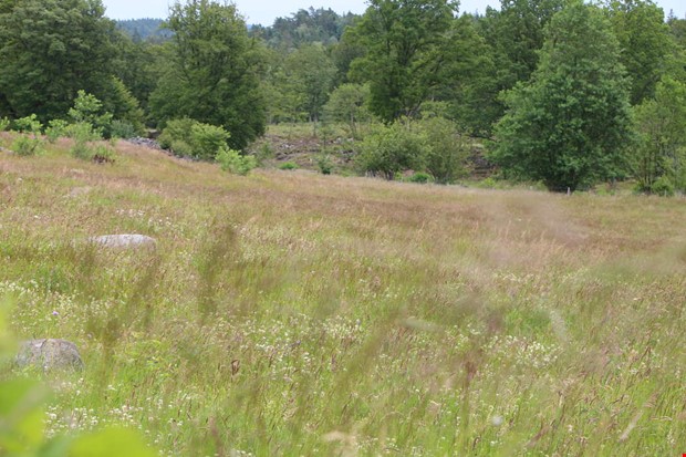 Debatt: Leder hllbarhetsstrategin oss fel? 