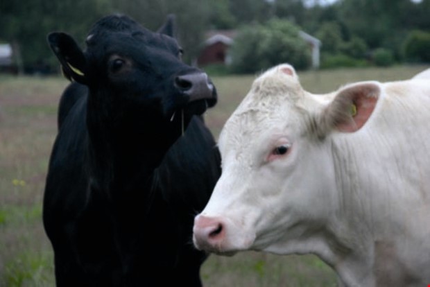Krisstöd för ökade kostnader Krisstöd för ökade kostnader