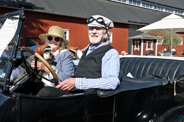 Veteranbilar samlades fr lunch vid slottet