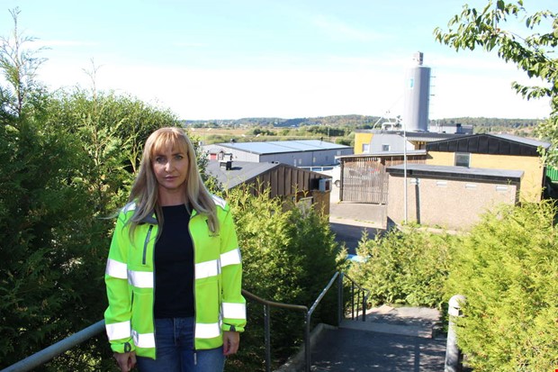 Reningsverkets v�djan: 