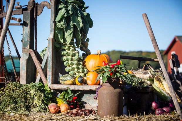 Skrdefest p Tjolholm