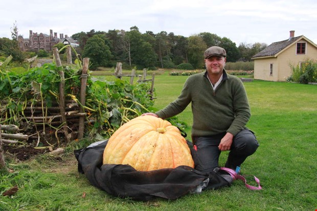 Tjol�holms j�ttepumpa sk�rdad