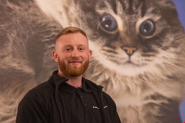 Har du mrkt din katt?