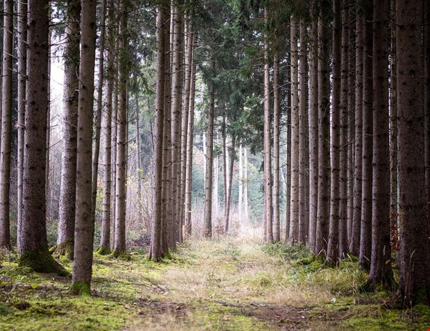 Debatt: Vallda är inte bortglömt Debatt: Vallda är inte bortglömt