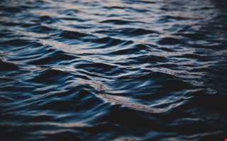 Debatt: Hav och vatten behver skydd i Halland