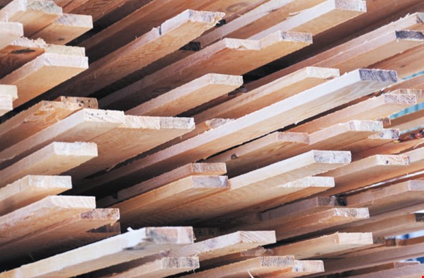 Debatt: Bygg fler tr�hus f�r att n� klimatm�len