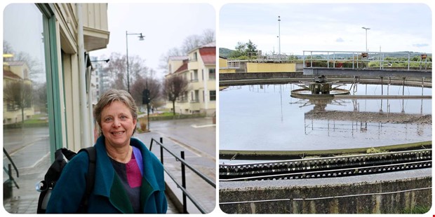 Miljöpartiet vill tänka nytt kring reningsverket 