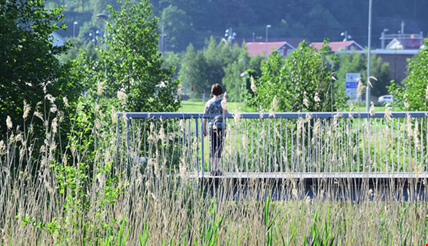 Invnarna fr delta i utformning av lekpark