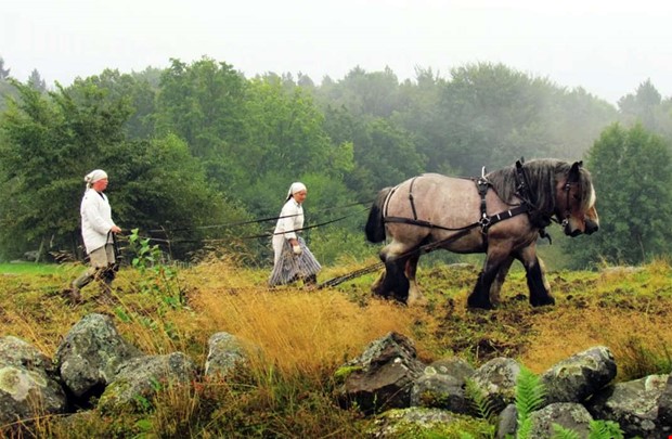 Extrapengar säkrar drift av populärt resmål Extrapengar säkrar drift av populärt resmål