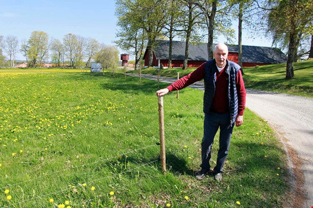 El hller vildsvinen borta frn Donalds marker