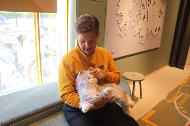 Digital katt p frsk inom ldreomsorgen 