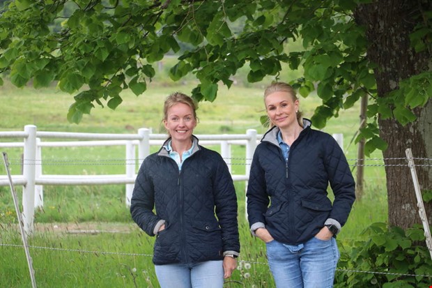 Systrarna expanderar med kattpensionat