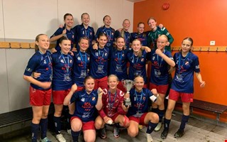 Lerkilsframg�ngar i Sk�ne 