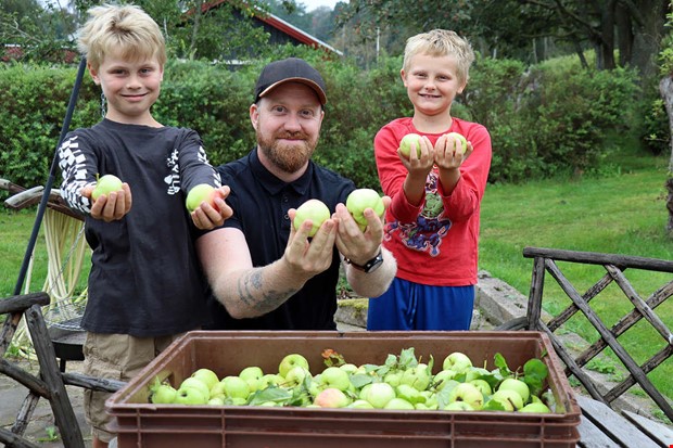 Första musten gjord – snart blir det cider i Ölmanäs Första musten gjord – snart blir det cider i Ölmanäs