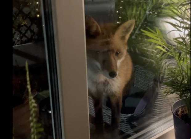 Nyfiken rv i Anneberg