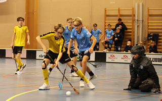 Framg�ngar f�r Sand� IBK i DM f�r P10 och P11