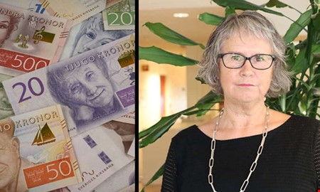 Expertens r�d � s� f�r du ordning p� ekonomin