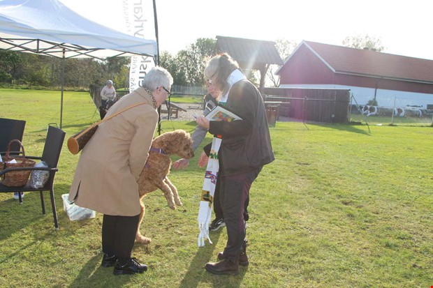 Mitt 2023: Ett r�rande �gonblick p� kyrk�ngen 