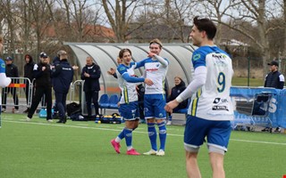 Sillysvepet i NH-land