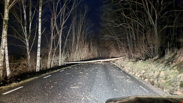 Blåsig morgon – många rapporter om träd på vägar Blåsig morgon – många rapporter om träd på vägar