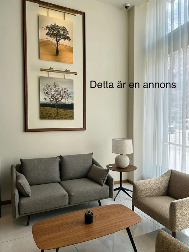 Så väljer du rätt fönster för ditt hem Så väljer du rätt fönster för ditt hem