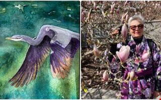 Eva gillar samspelet mellan vatten och f�rg