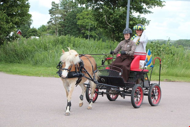 Häst och vagn för Alva efter studenten Häst och vagn för Alva efter studenten