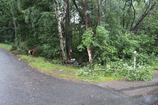 Två unga döda efter krasch mot träd – flera skadade Två unga döda efter krasch mot träd – flera skadade