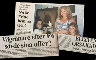 Fr 25 r sedan  NH i lgor och fgel p flykt