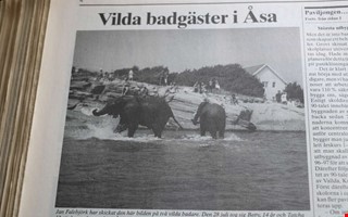 Nio kundvagnar i Kungsbackan  det hnde i NH fr 30 r sedan