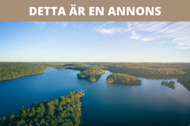 Varfr r utlndska online casinon populra i Sverige?